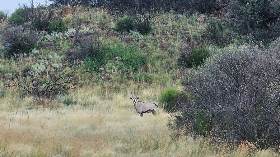 5 Bedroom Property for Sale in Edenburg Rural Free State